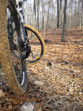 trek